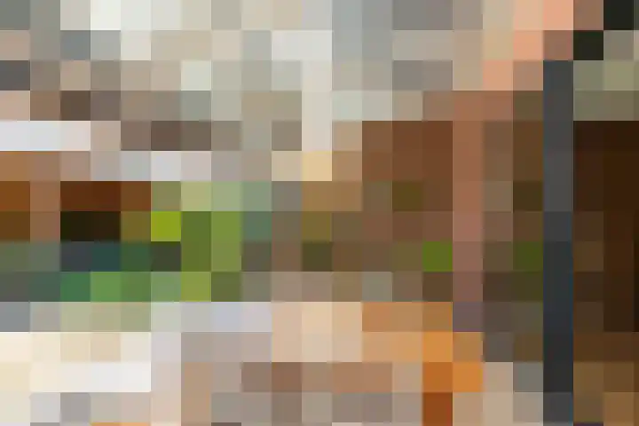 Majoorwerf 11 Zoutelande thumbnail 14
