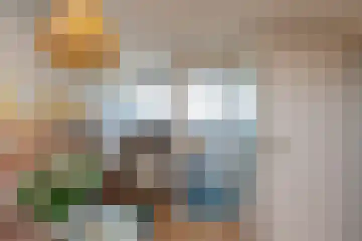 Majoorwerf 11 Zoutelande thumbnail 27