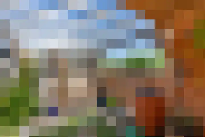 Majoorwerf 11 Zoutelande thumbnail 35