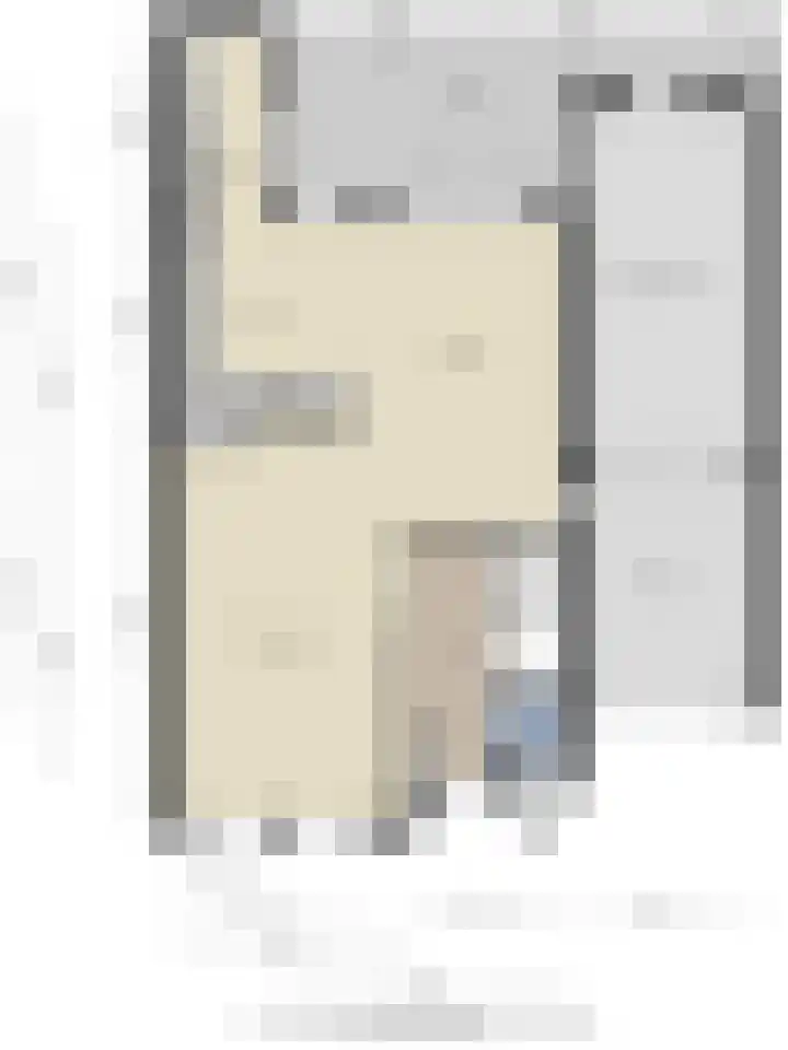 Majoorwerf 11 Zoutelande thumbnail 43
