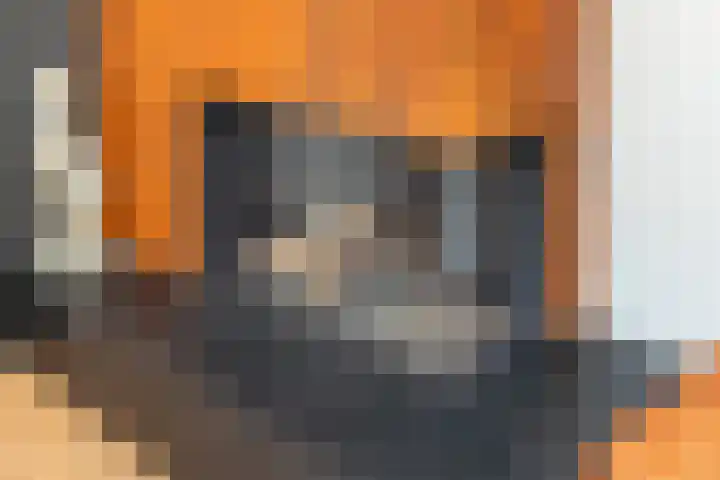 Majoorwerf 11 Zoutelande thumbnail 6