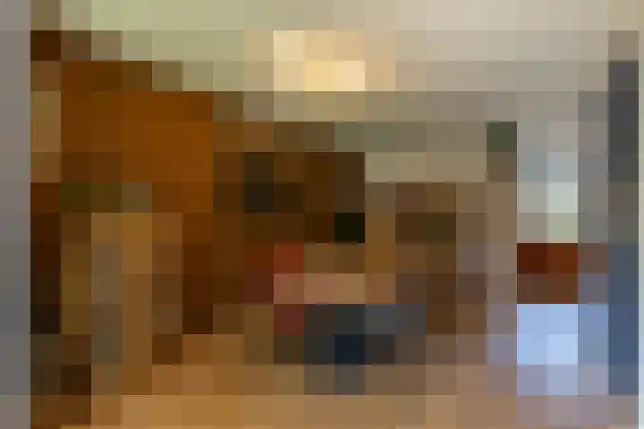 Majoorwerf 11 Zoutelande thumbnail 7