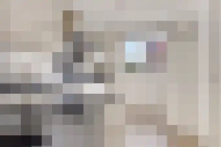 Majoorwerf 17 G Zoutelande thumbnail 11