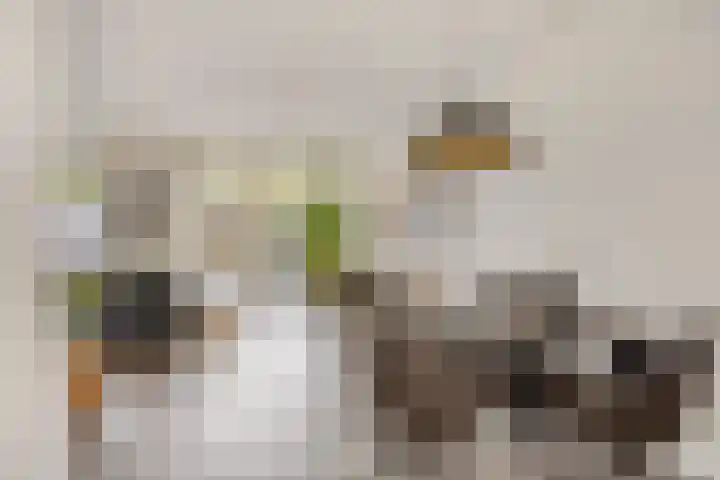 Majoorwerf 17 G Zoutelande thumbnail 13