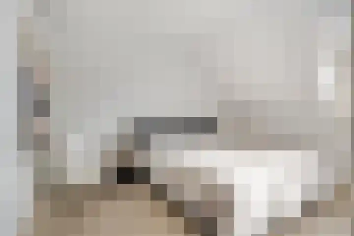 Majoorwerf 17 G Zoutelande thumbnail 17