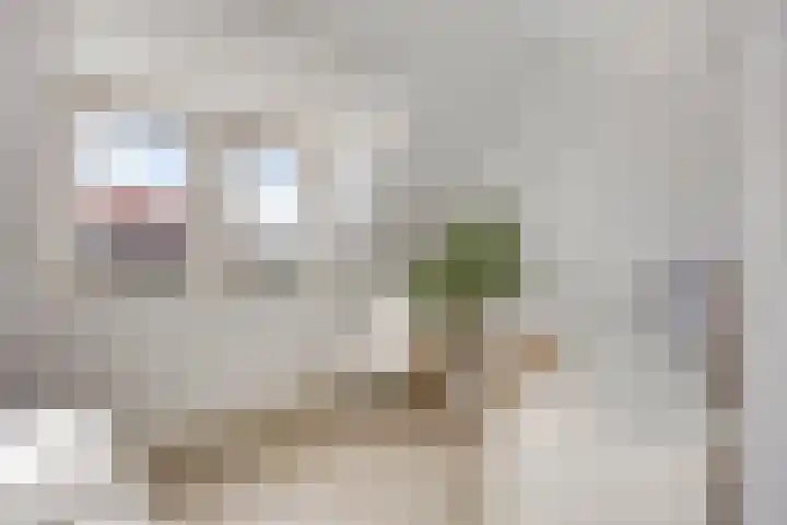 Majoorwerf 17 G Zoutelande thumbnail 18