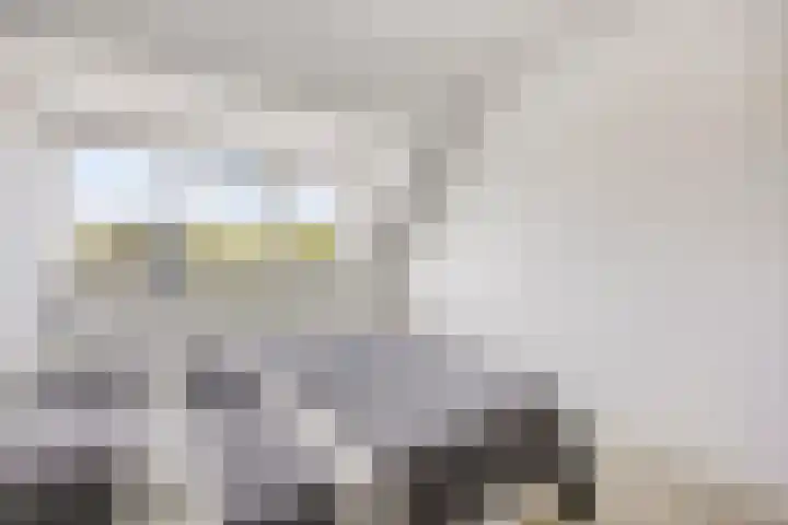 Majoorwerf 17 G Zoutelande thumbnail 19