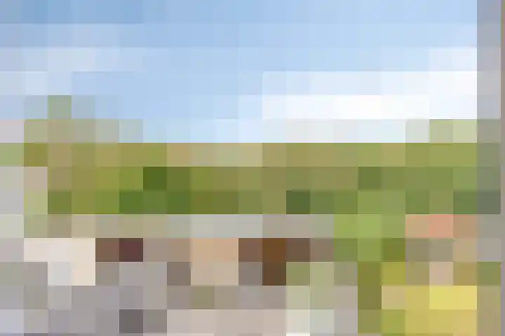 Majoorwerf 17 G Zoutelande thumbnail 20