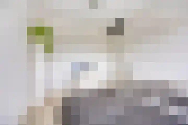 Majoorwerf 17 G Zoutelande thumbnail 21