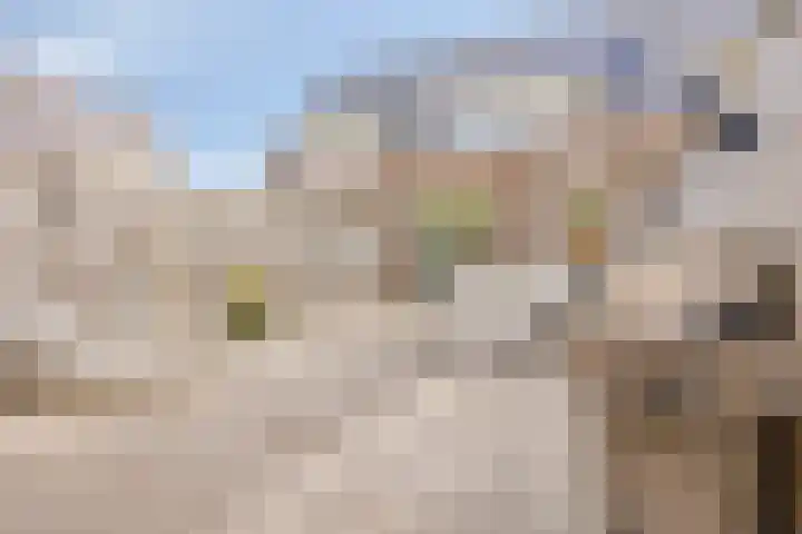 Majoorwerf 17 G Zoutelande thumbnail 23