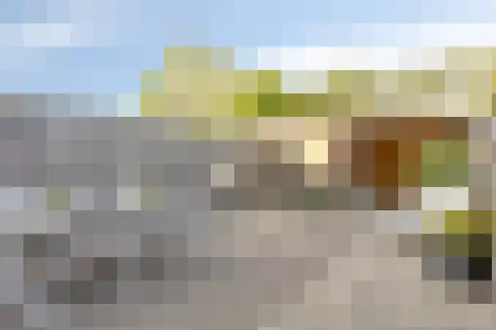 Majoorwerf 17 G Zoutelande thumbnail 24
