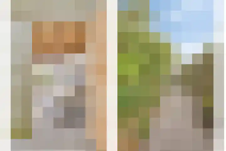 Majoorwerf 17 G Zoutelande thumbnail 26
