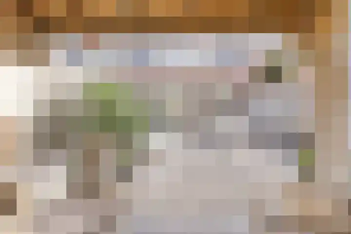 Majoorwerf 17 G Zoutelande thumbnail 4