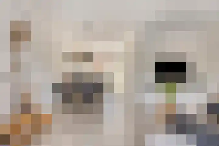 Majoorwerf 17 G Zoutelande thumbnail 9