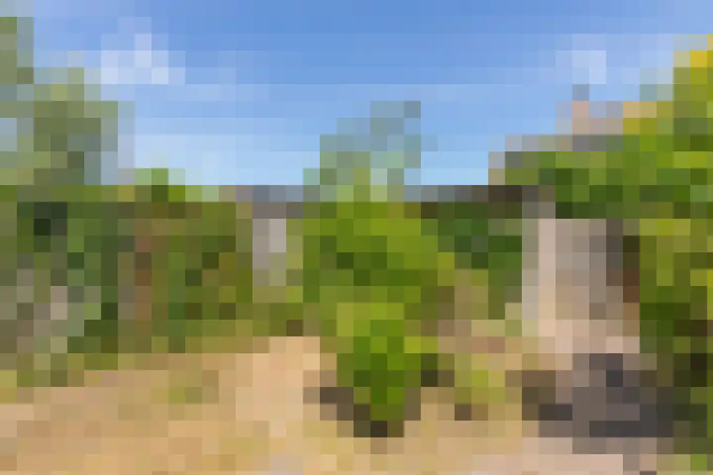 Majoorwerf 38 Zoutelande thumbnail 23