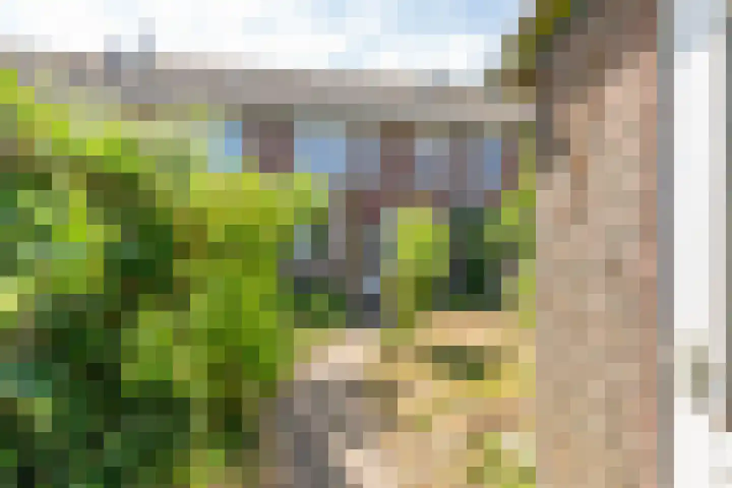 Majoorwerf 38 Zoutelande thumbnail 24
