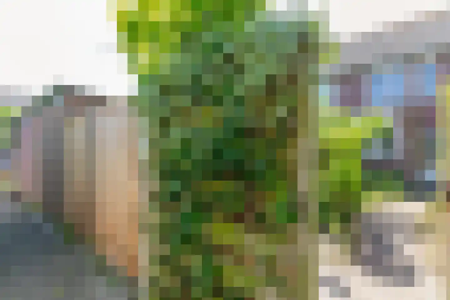 Majoorwerf 38 Zoutelande thumbnail 25