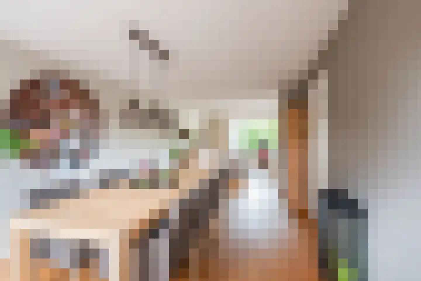 Majoraan 1 Gendringen thumbnail 13