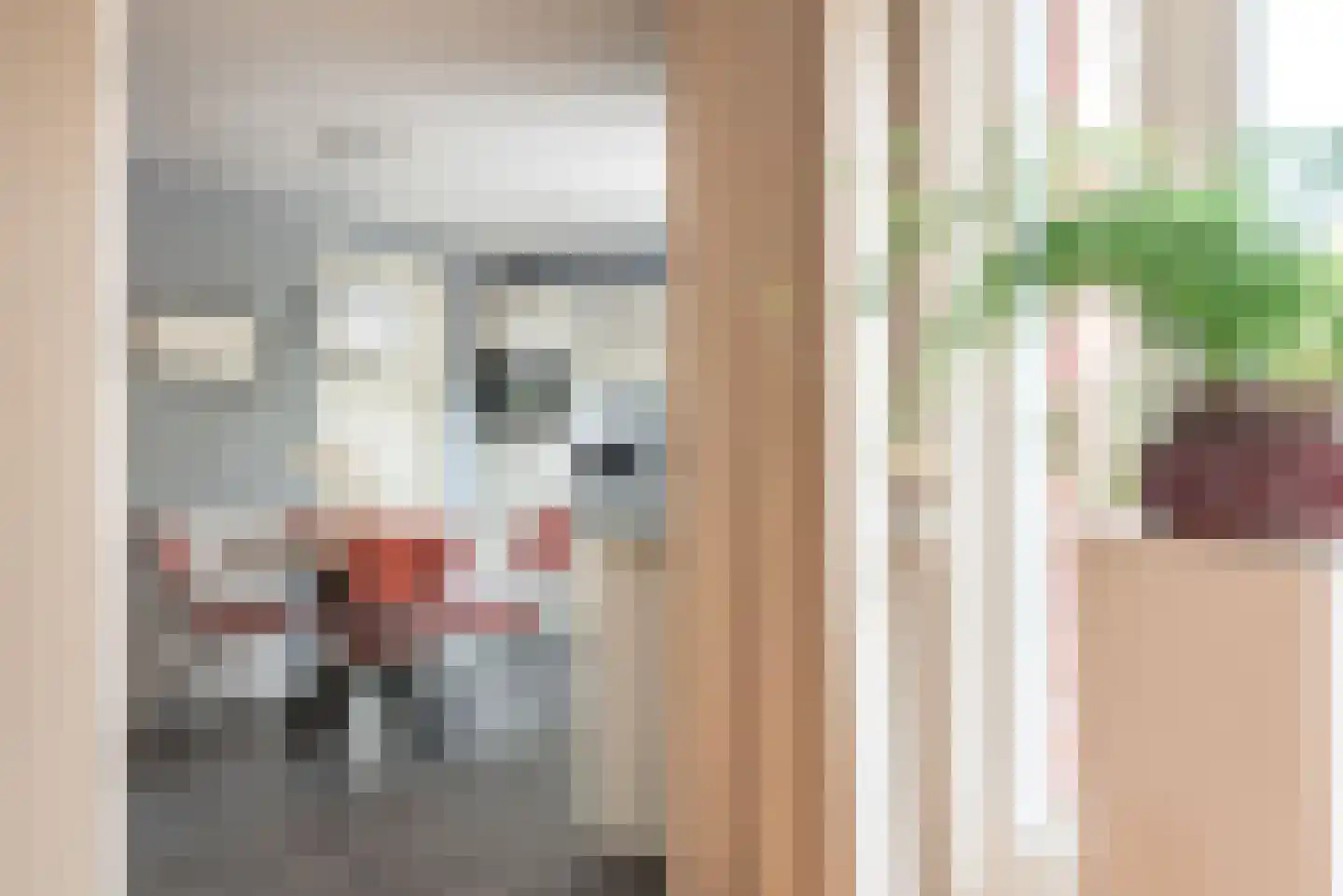 Majoraan 1 Gendringen thumbnail 14