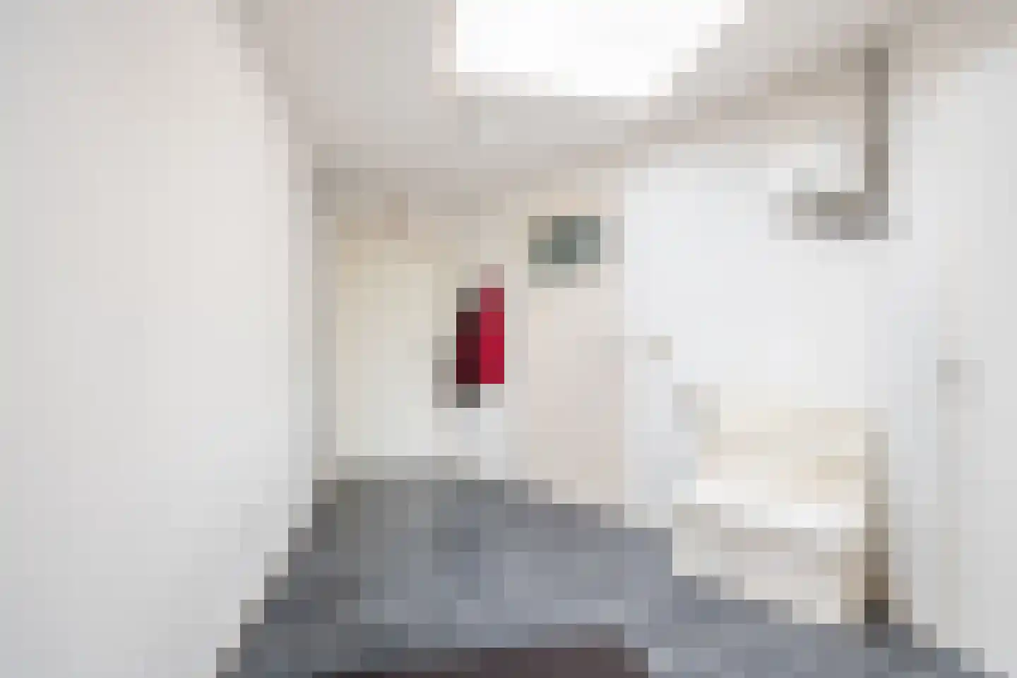Majoraan 1 Gendringen thumbnail 17