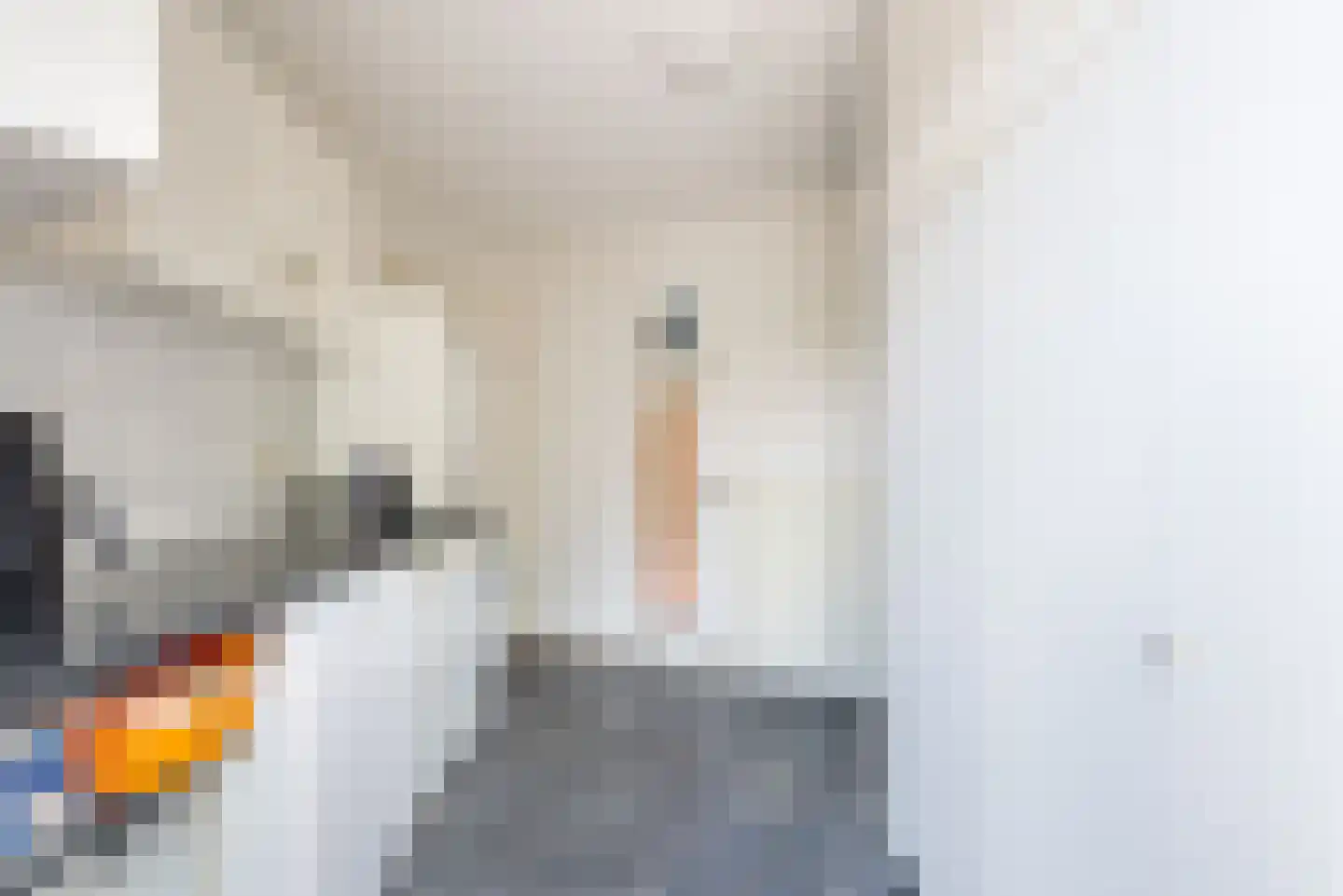 Majoraan 1 Gendringen thumbnail 20