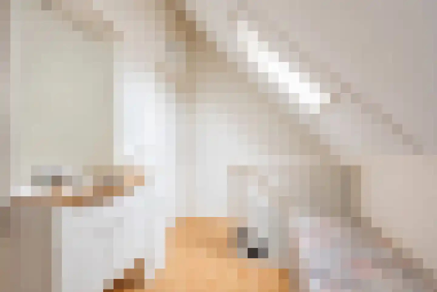 Majoraan 1 Gendringen thumbnail 33