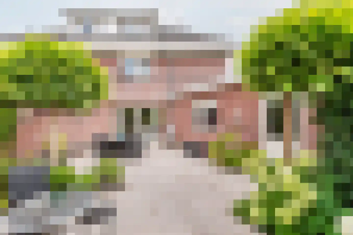 Majoraan 1 Gendringen thumbnail 37