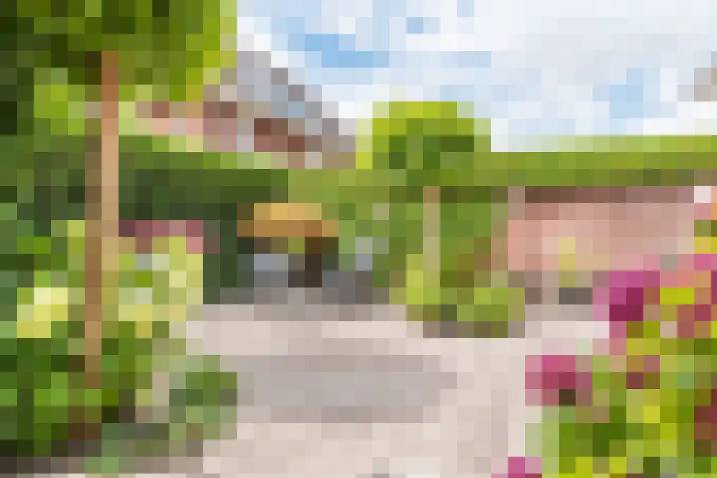 Majoraan 1 Gendringen thumbnail 38