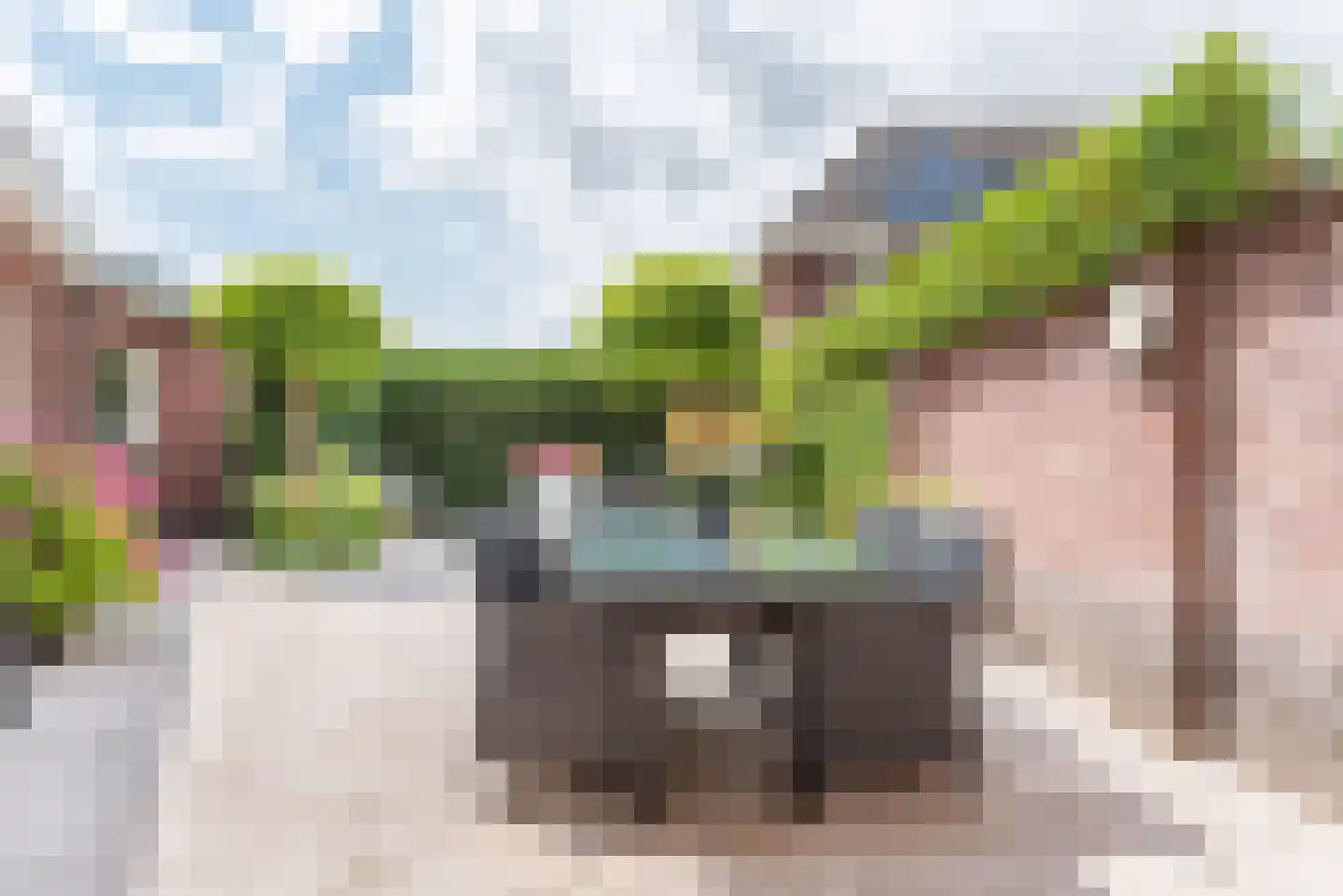 Majoraan 1 Gendringen thumbnail 39