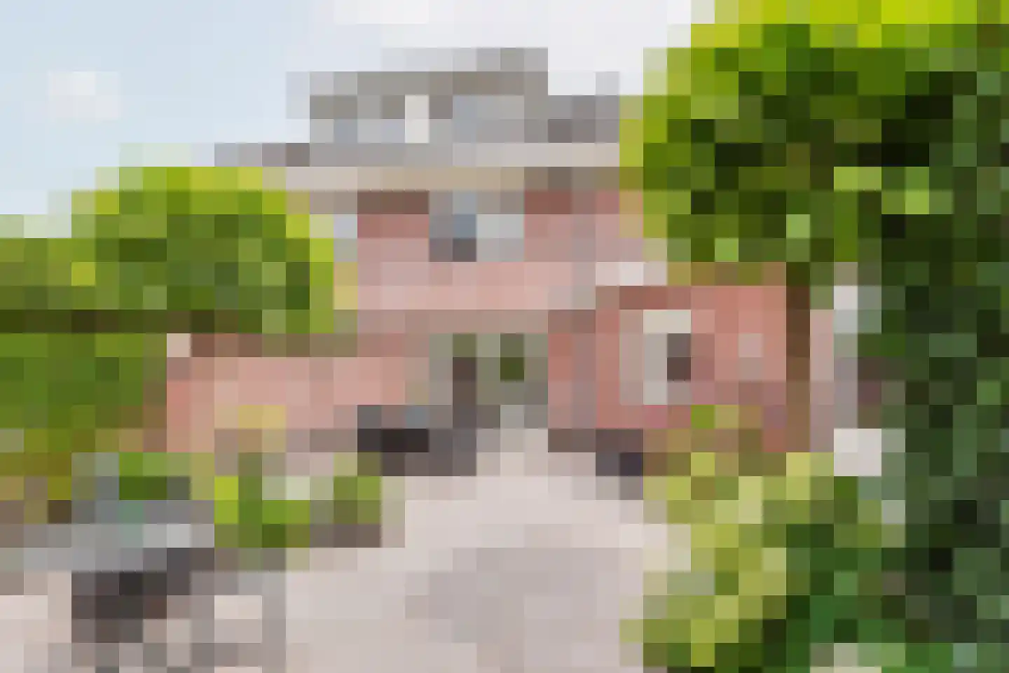 Majoraan 1 Gendringen thumbnail 4