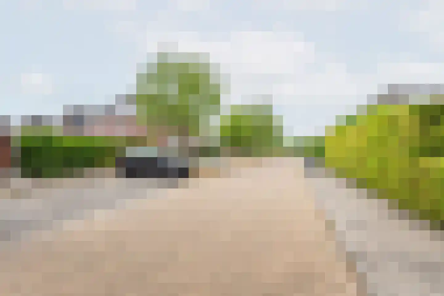 Majoraan 1 Gendringen thumbnail 41