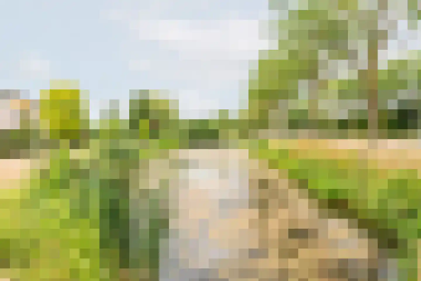 Majoraan 1 Gendringen thumbnail 43