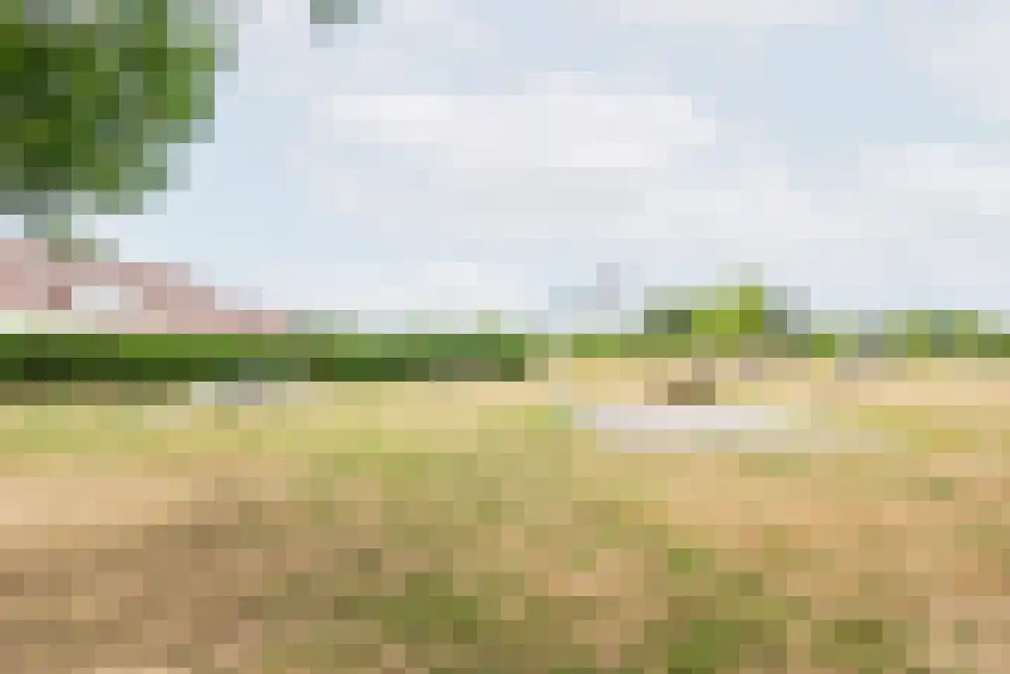 Majoraan 1 Gendringen thumbnail 44