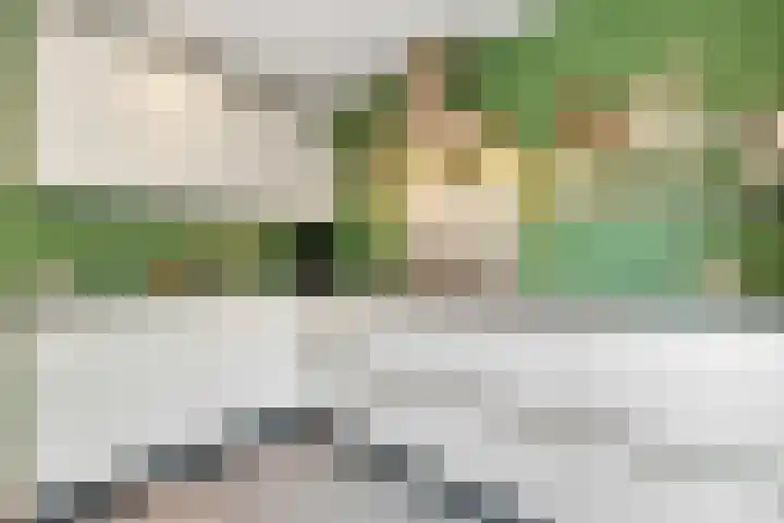 Majoraan 11 Nijverdal thumbnail 11