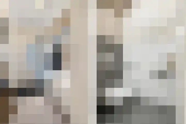 Majoraan 11 Nijverdal thumbnail 13