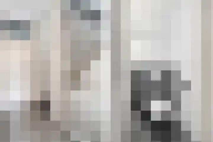 Majoraan 11 Nijverdal thumbnail 14