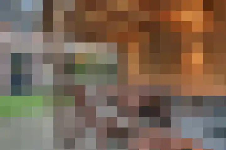Majoraan 11 Nijverdal thumbnail 28