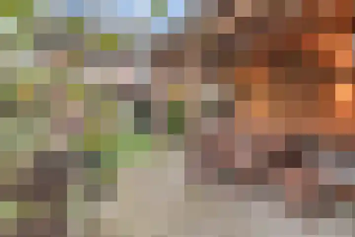 Majoraan 11 Nijverdal thumbnail 29