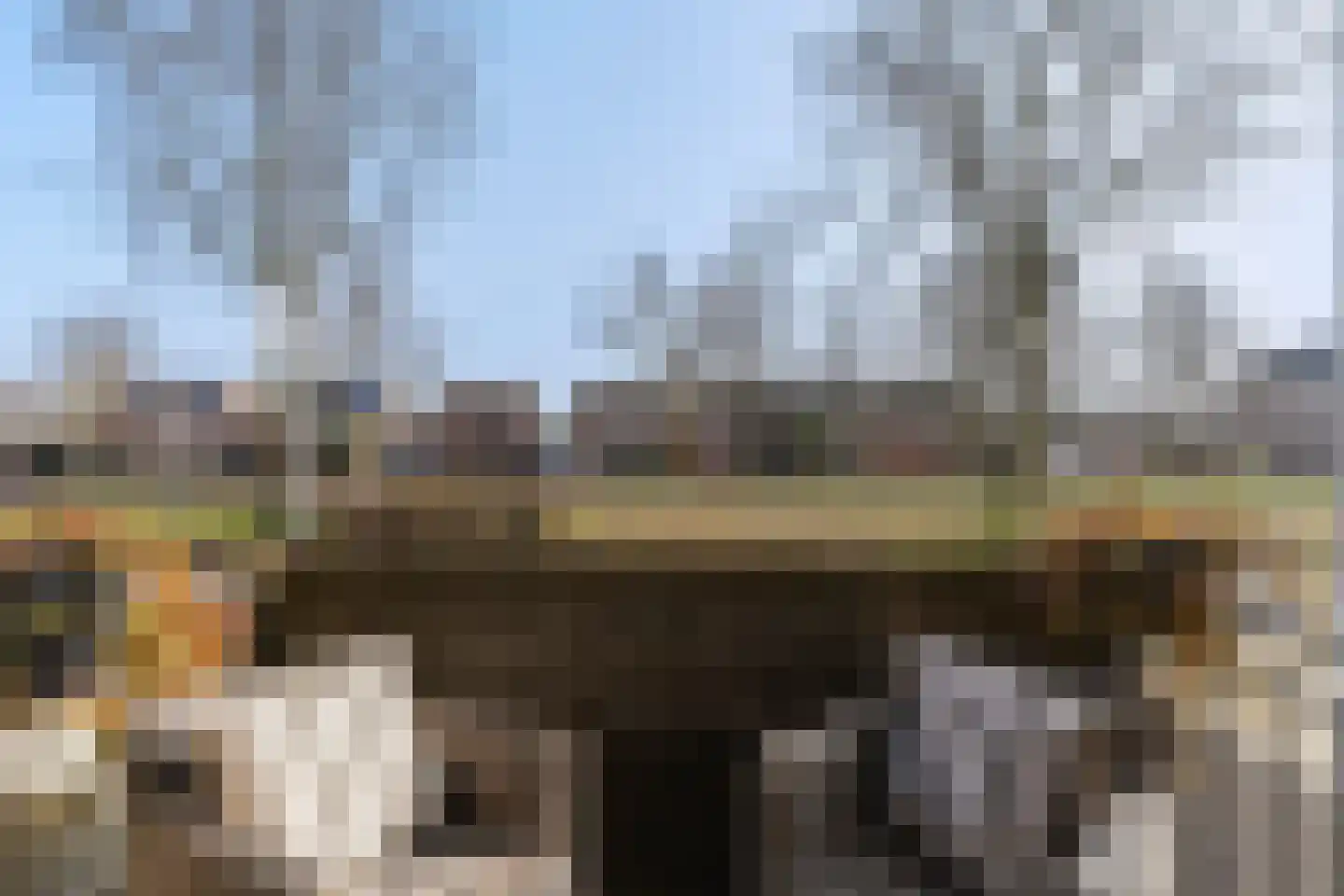 Majoraan 13 Oisterwijk thumbnail 25