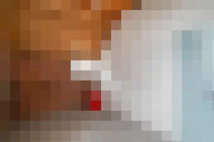 Majoraan 2 Raalte thumbnail 21