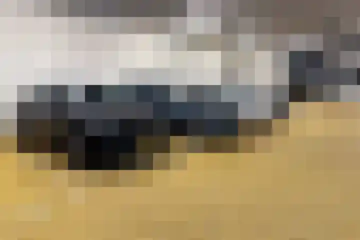 Majoraan 2 Raalte thumbnail 33