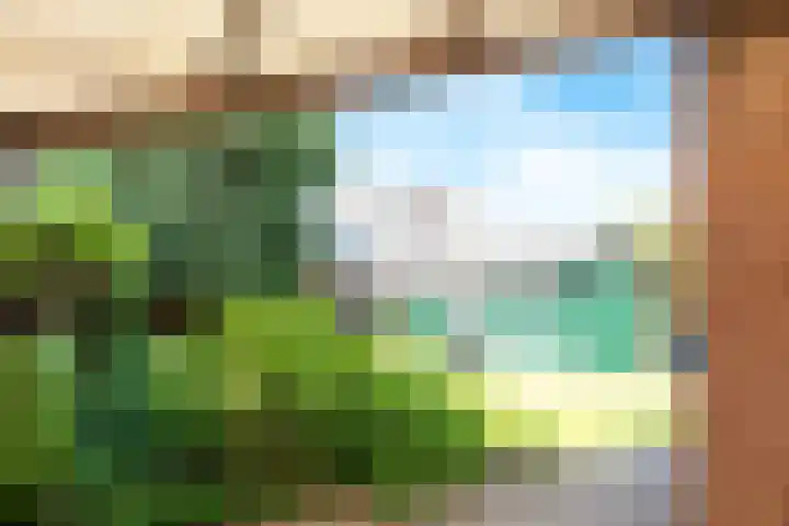Majoraan 2 Raalte thumbnail 35