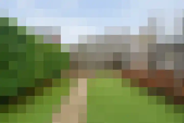 Majoraan 2 Raalte thumbnail 42