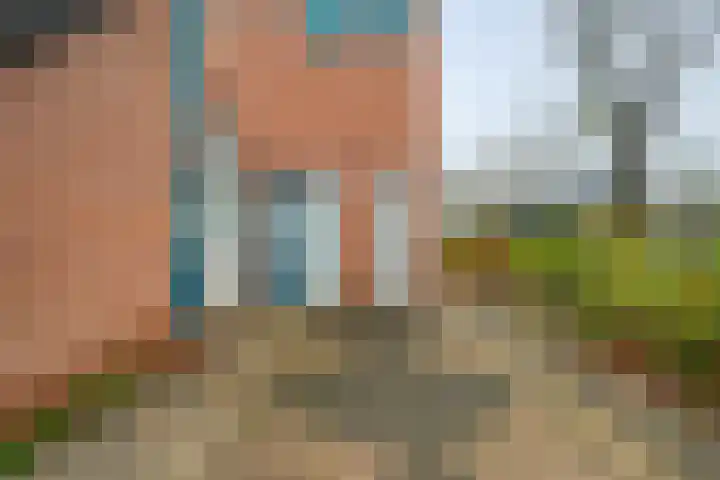 Majoraan 2 Raalte thumbnail 5