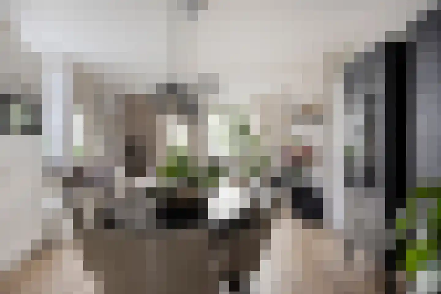 Majoraan 27 Oisterwijk thumbnail 12