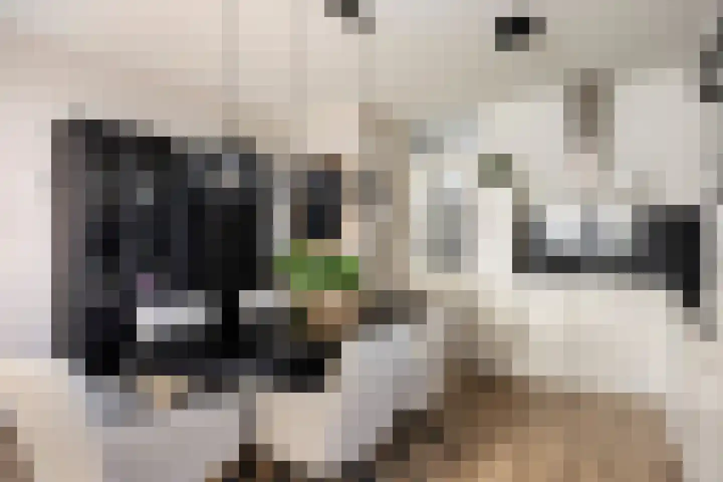 Majoraan 27 Oisterwijk thumbnail 13