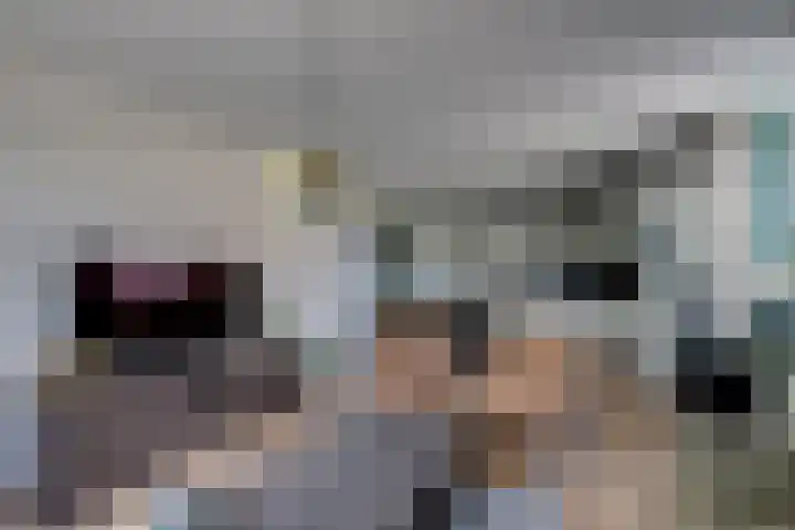 Majoraan 27 Oisterwijk thumbnail 17