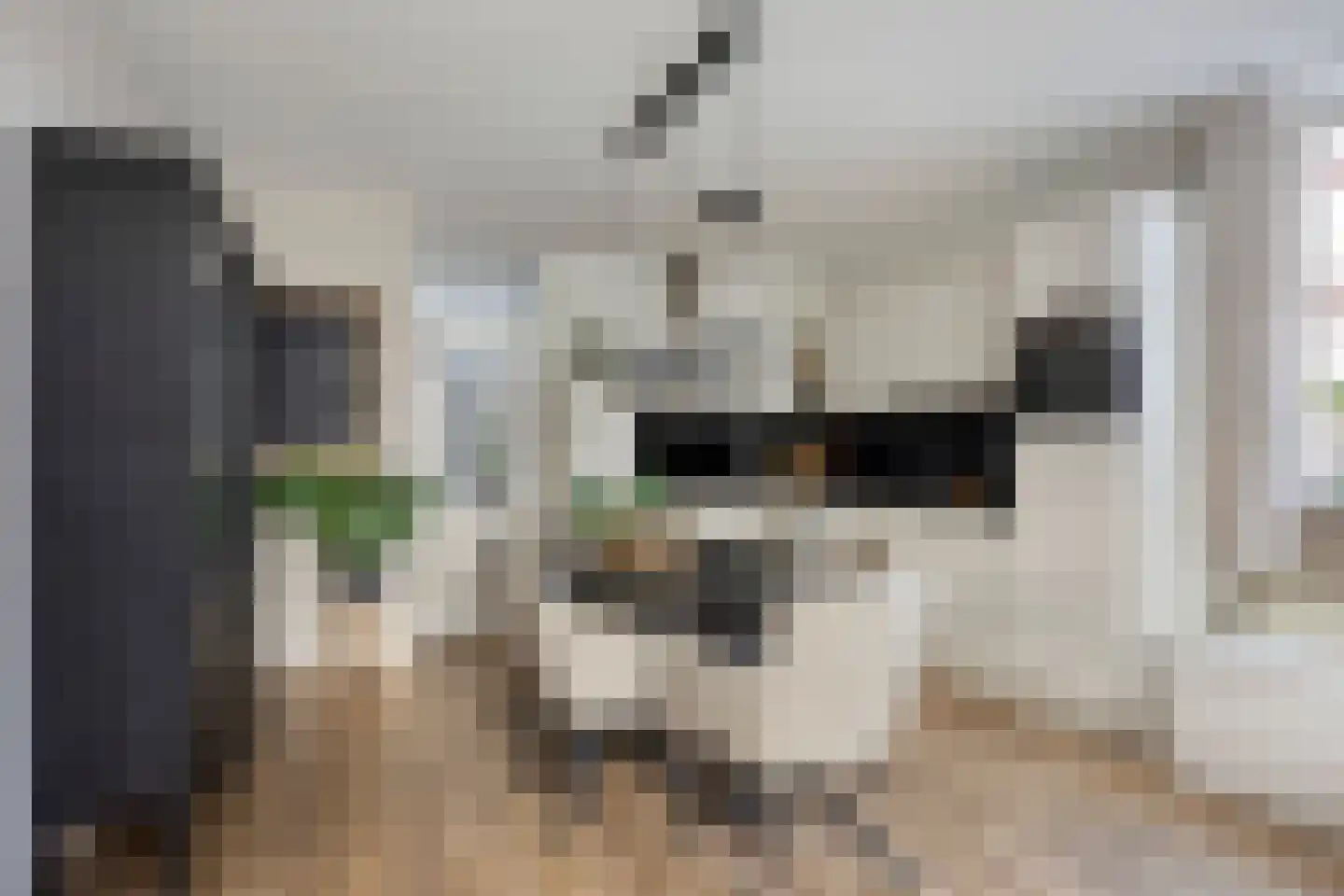 Majoraan 27 Oisterwijk thumbnail 19