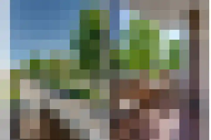 Majoraan 27 Oisterwijk thumbnail 21
