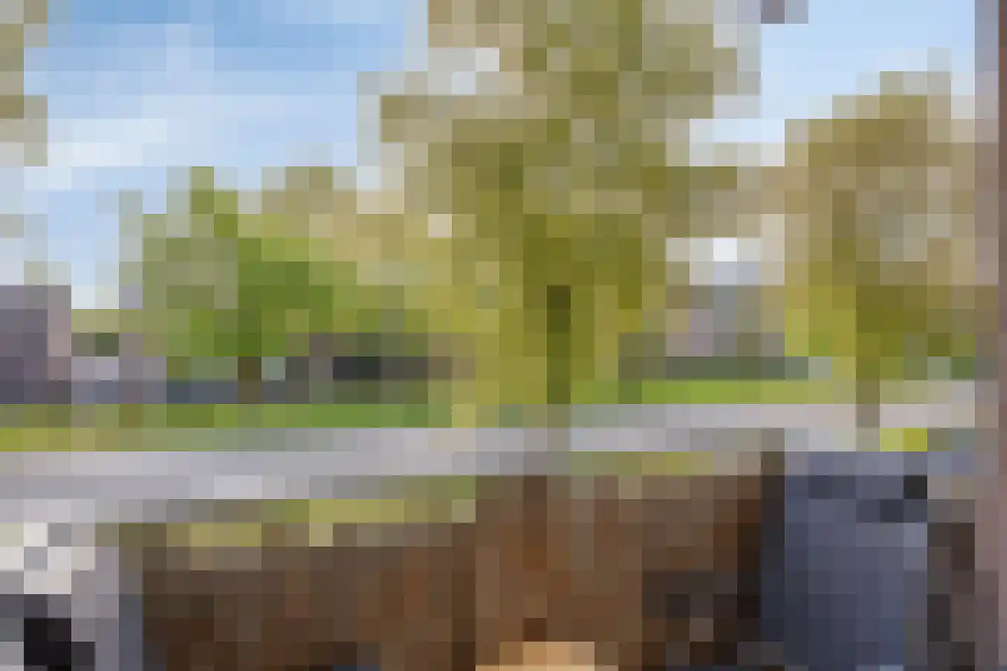 Majoraan 27 Oisterwijk thumbnail 23